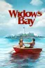 Poster of Widow's Bay